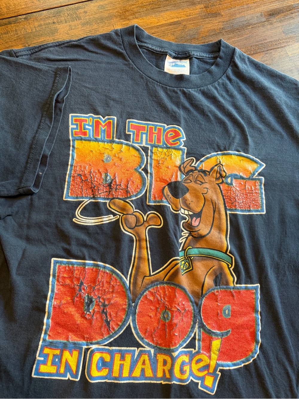 Vintage 90s Scooby Doo T Shirt Mens Large Big in Charge Dog Tennessee River Tag